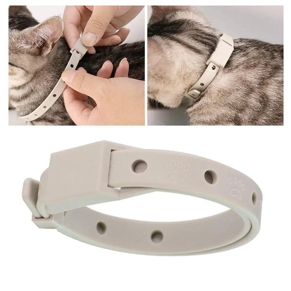 Anti Flea Tick Collar for Cats and Dogs 8 Month Protection