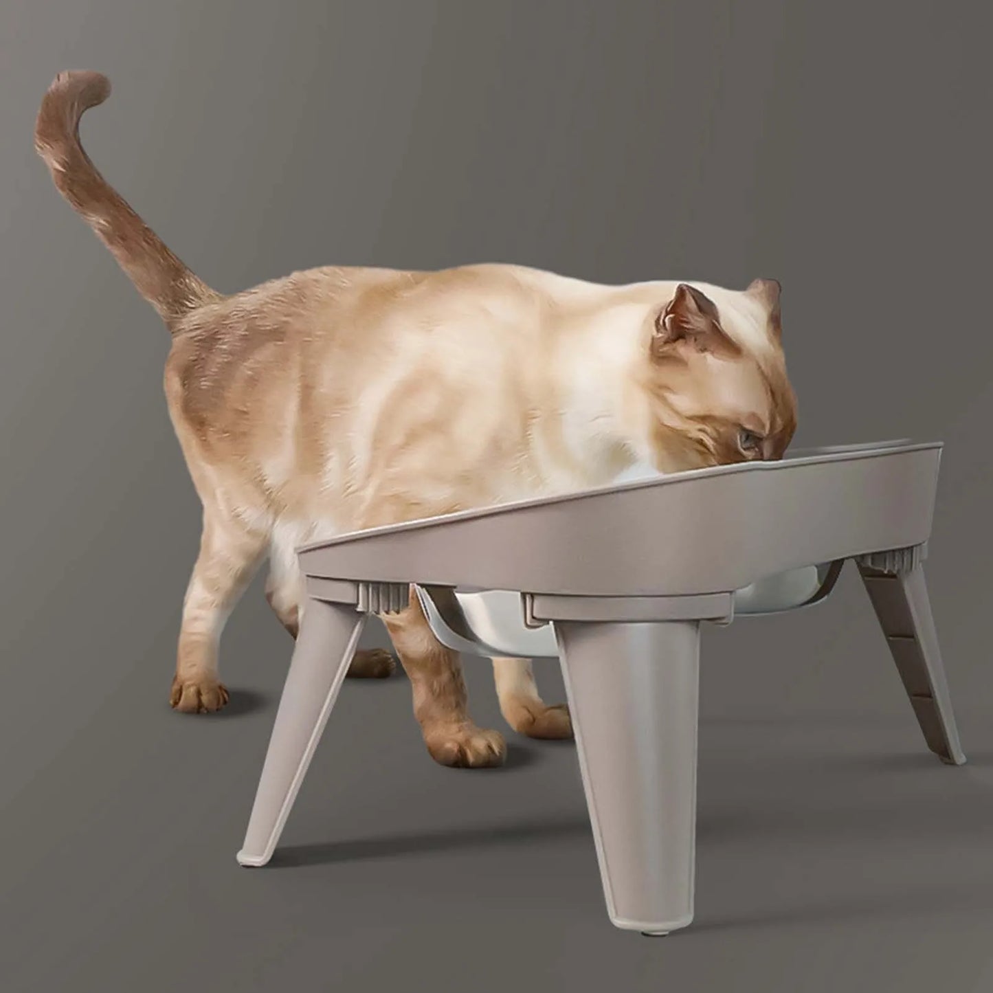 Raised Stand Elevated Dog Feeder Non Slip No Spill Design Stainless Steel Bowl Pet Supplies