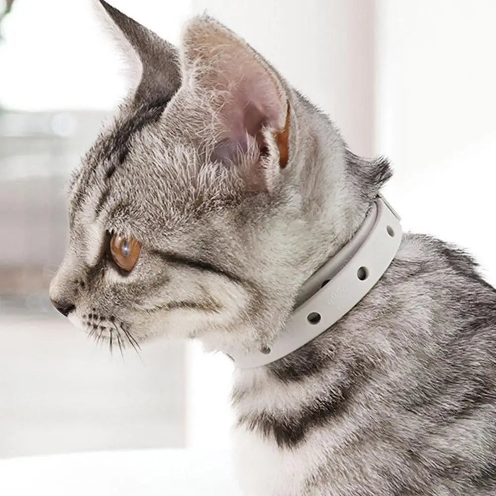 Anti Flea Tick Collar for Cats and Dogs 8 Month Protection