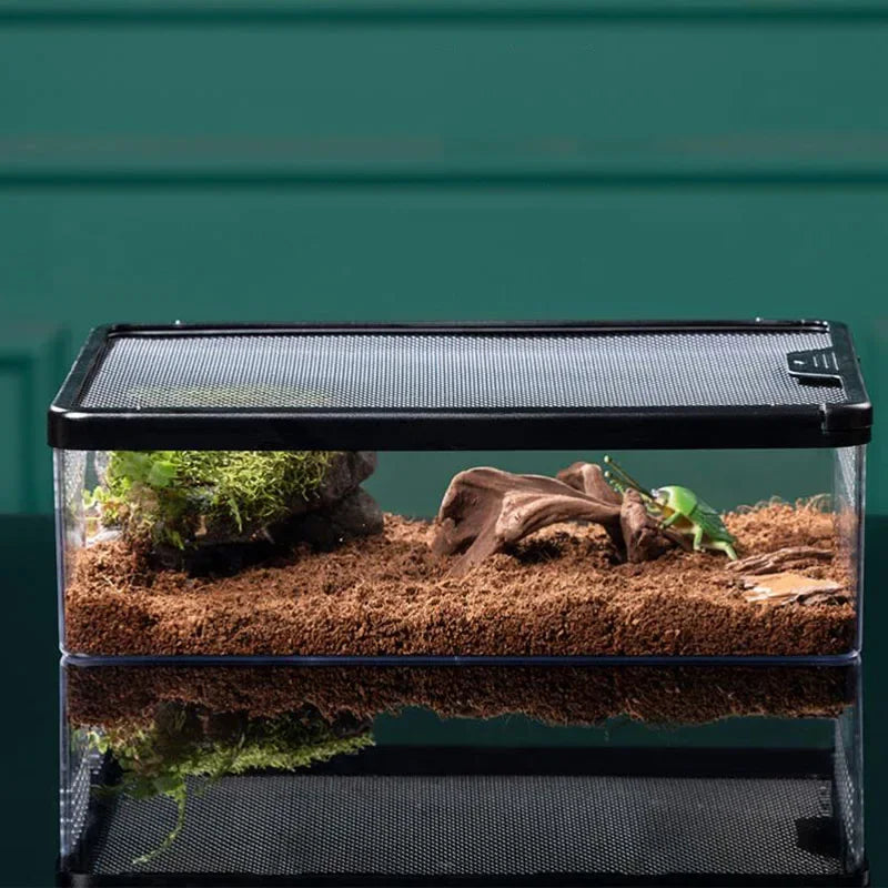 Choice Transparent Reptile Breeding Box For Lizards Insects Beetles Pet Habitat Acrylic