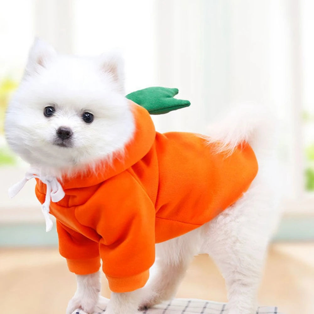 GuangdongHign Cute Fruit Dog Hoodies Fleece Coat
