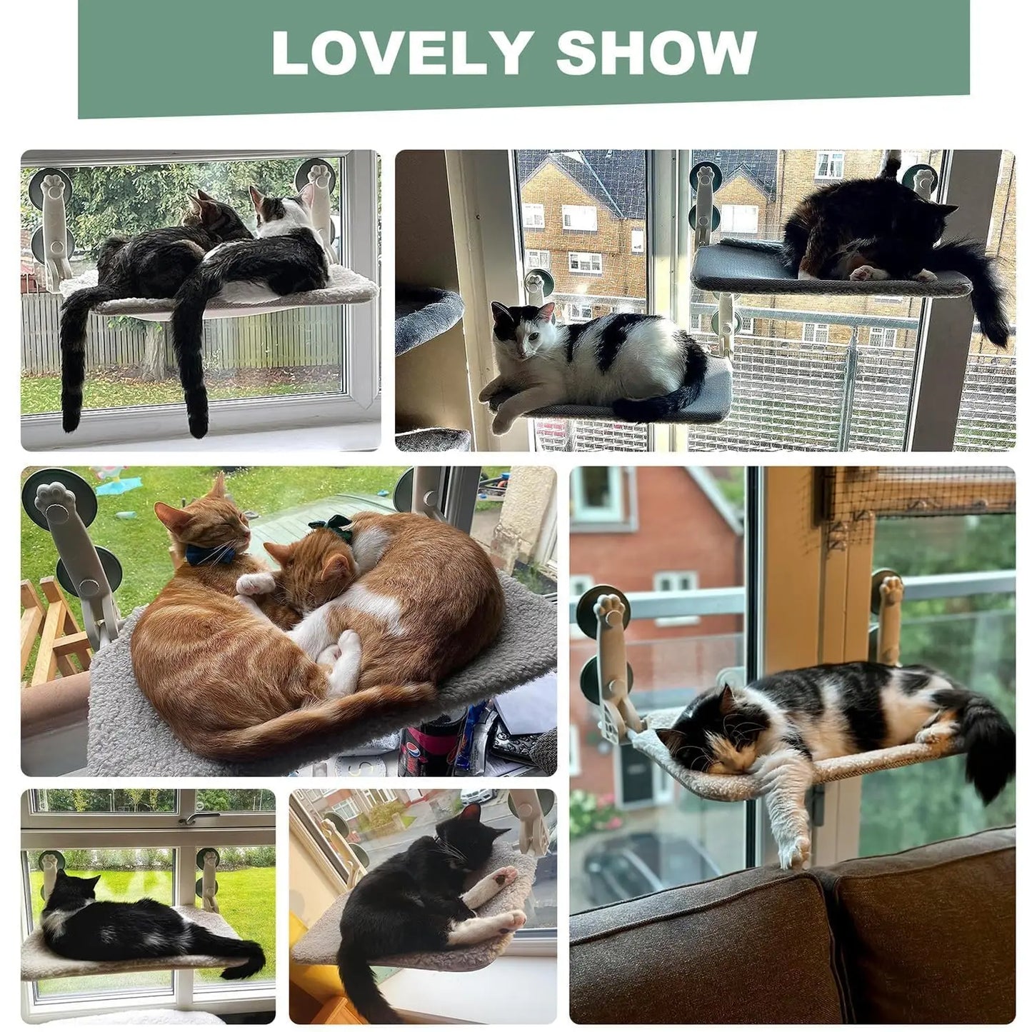 Mewoofun Foldable Cat Window Hammock Bed Strong Suction