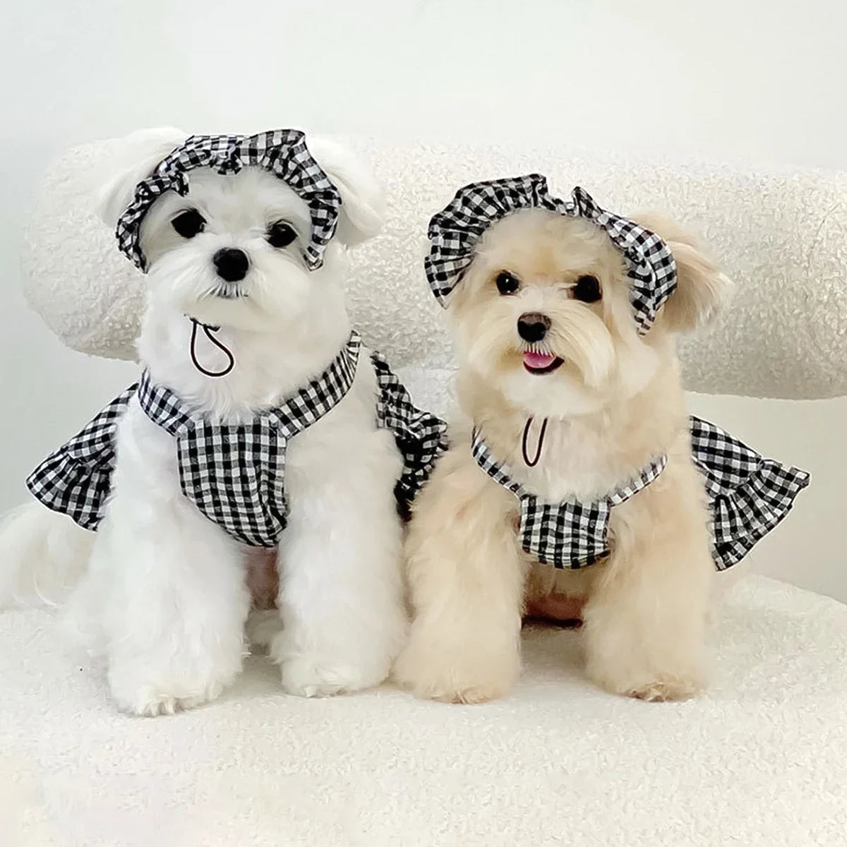 WAOPETCN Fashion Dog Clothes Plaid Skirt With Hat Set