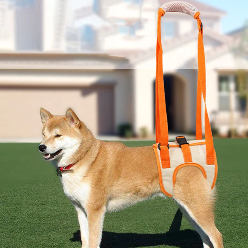 ZhejiangChoice Dog Hind Leg Belt Postoperative Rehab Aid