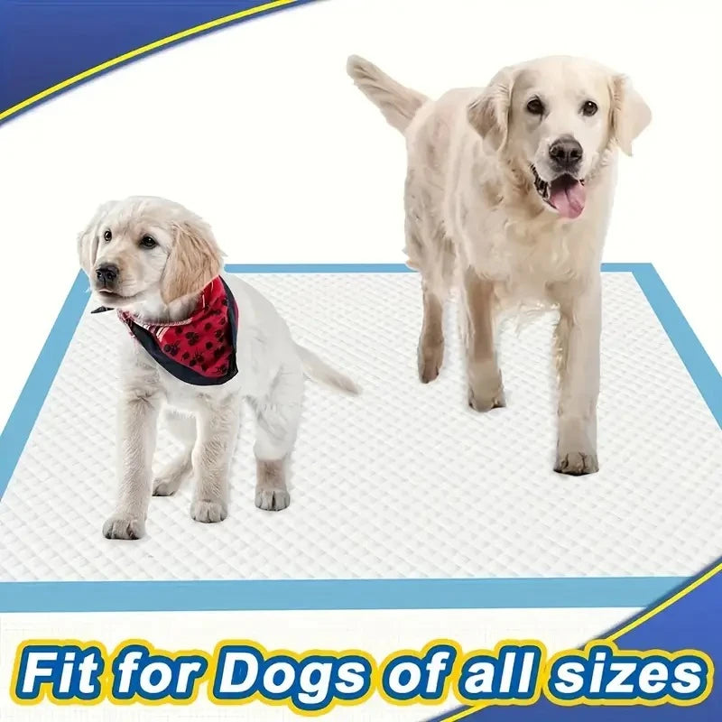 Dog Litter Training Pads Leak Proof Quick Dry Absorbent