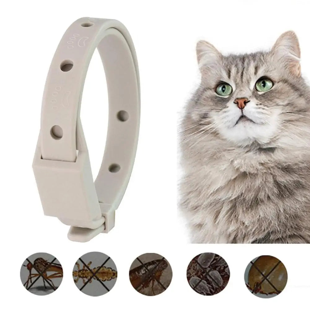 Anti Flea Tick Collar for Cats and Dogs 8 Month Protection