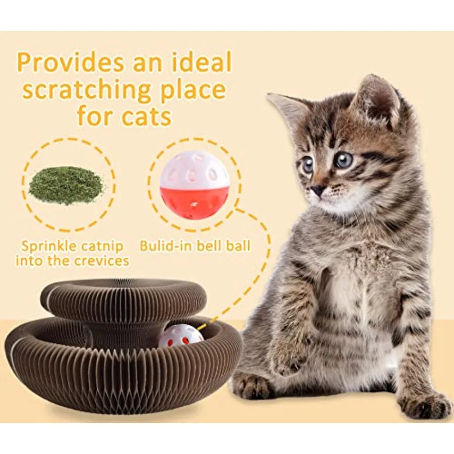 Magic Organ Cat Scratching Board And Accordion Toy Cardboard Slinky