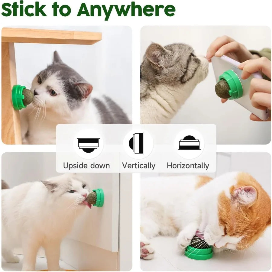 Catnip Balls Toys 4 Pcs Extra Energy Edible Silvervine Toys for Healthy Kitten Teeth Cleaning