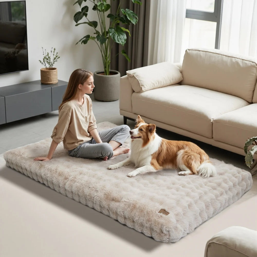 BORWARTCN Ultra Plush Dog Bed Soft Cushion Washable Mat