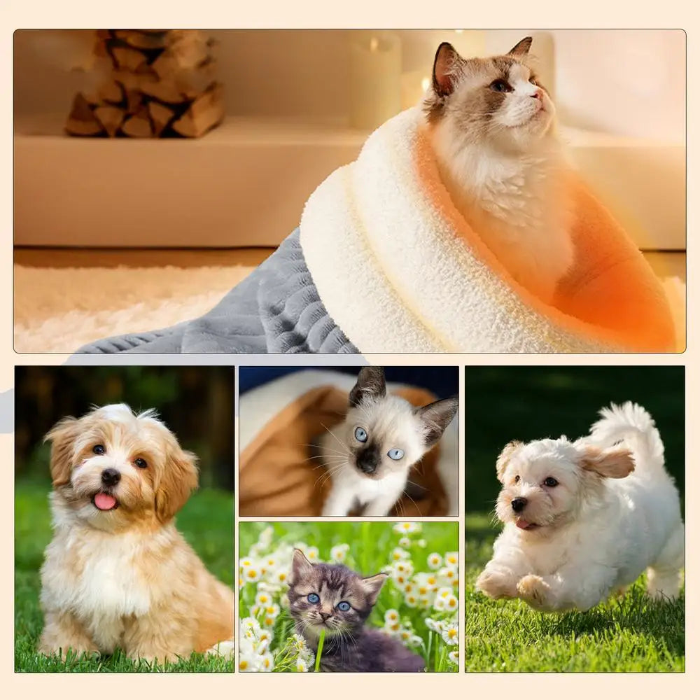 Choice Cat Sleeping Bag Semi Enclosed Pet Hideaway Pad