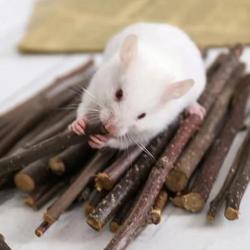 Natural Wood Chew Toys For Small Pets Rabbits Hamsters Rats
