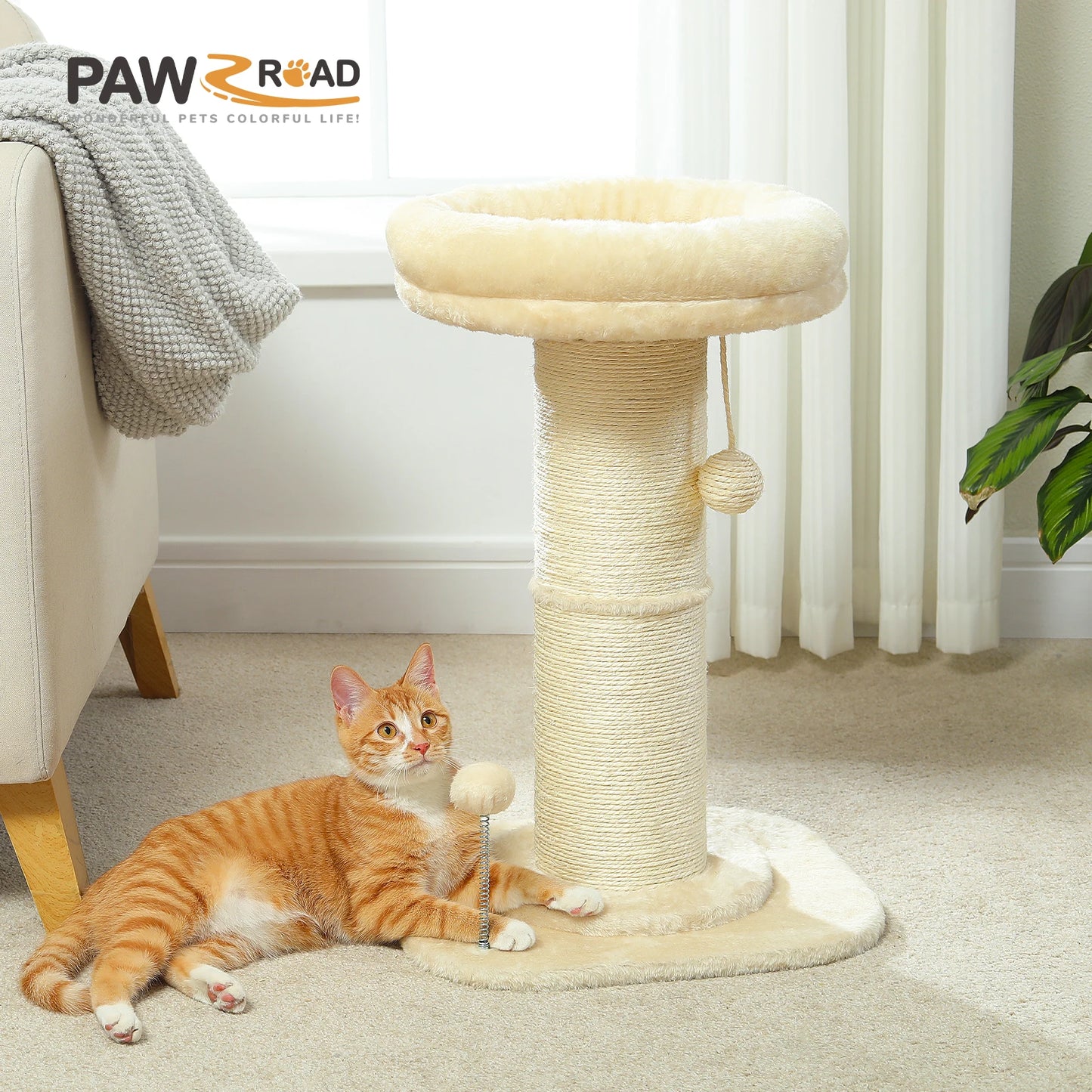 PAWZ Road Flower Cat Scratching Post With Removable Bed Indoor Cat Tower