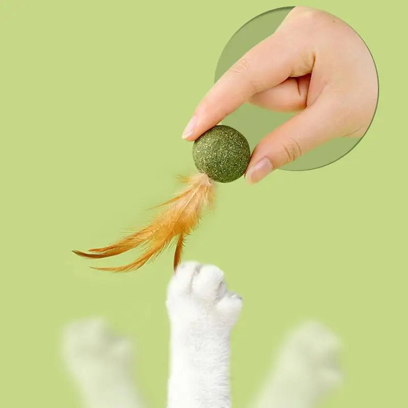 Choice Catnip Feather Balls Lickable Grass Snack Kitten Toys