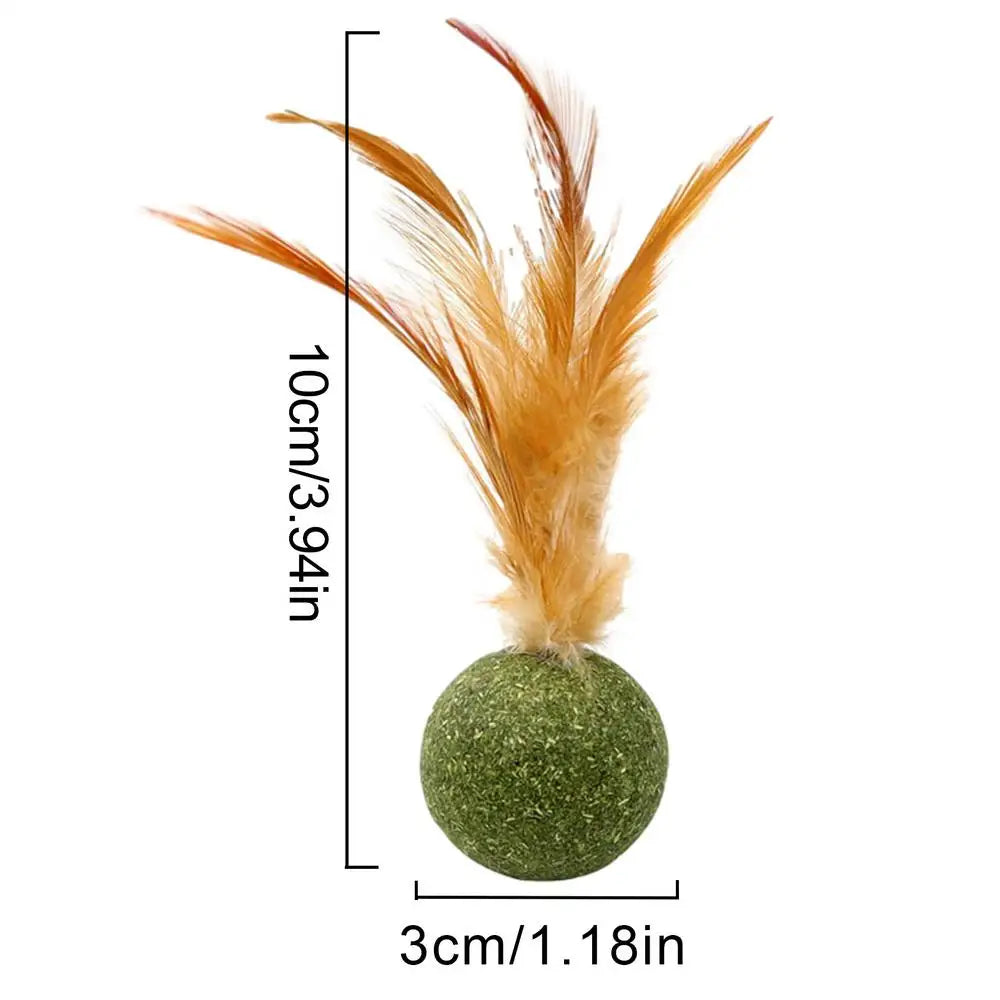 Choice Catnip Feather Balls Lickable Grass Snack Kitten Toys