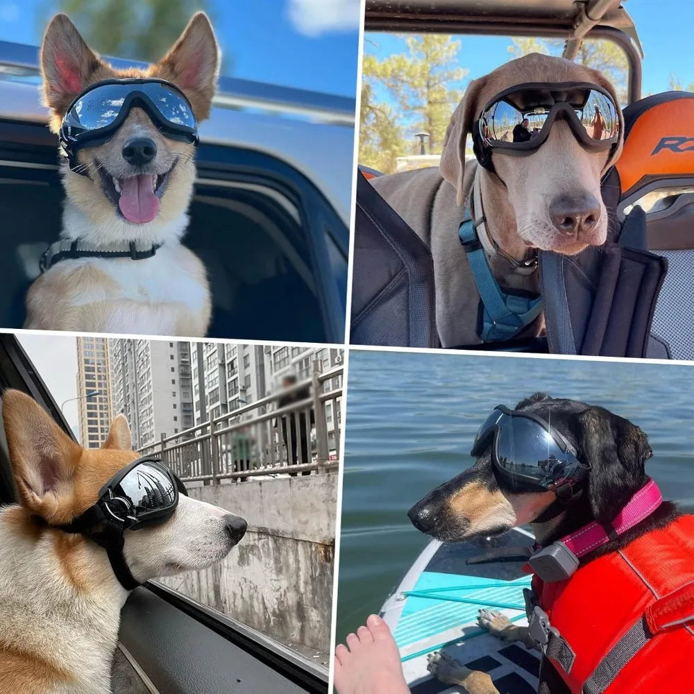 Breed Dog Goggles Anti UV Eye Protection For Dogs Outdoor