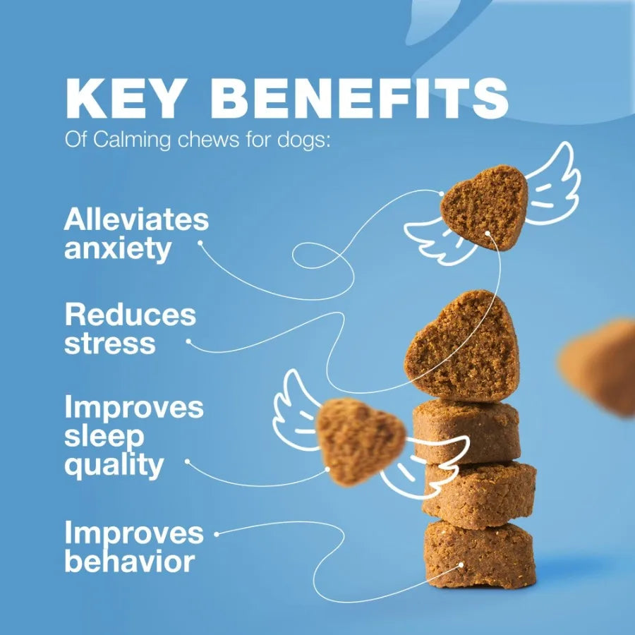 Hign-concerned Hemp Calming Chews Dogs Melatonin Anxiety
