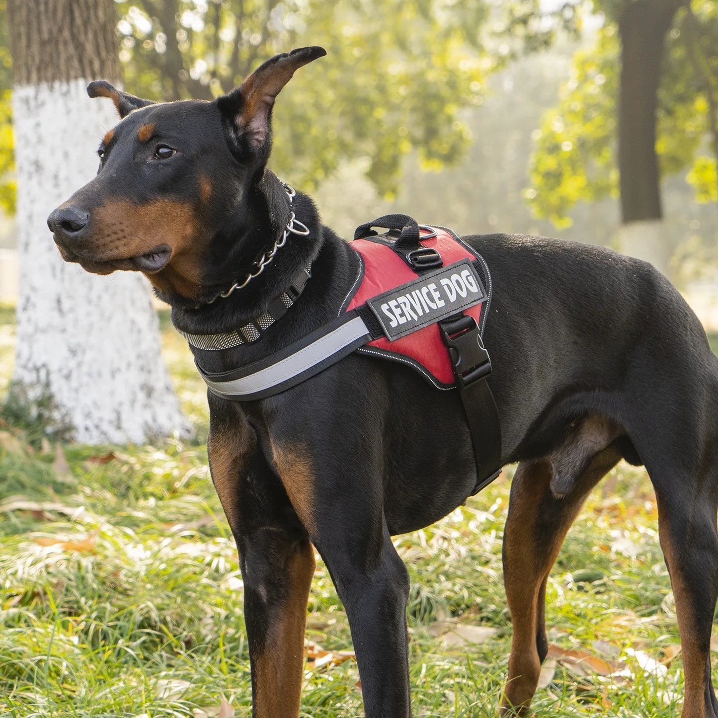 Dog Chest Strap Night Reflective Adjustable Explosion Proof Large Dog Tank Top Traction Rope Specially Designed for Walking