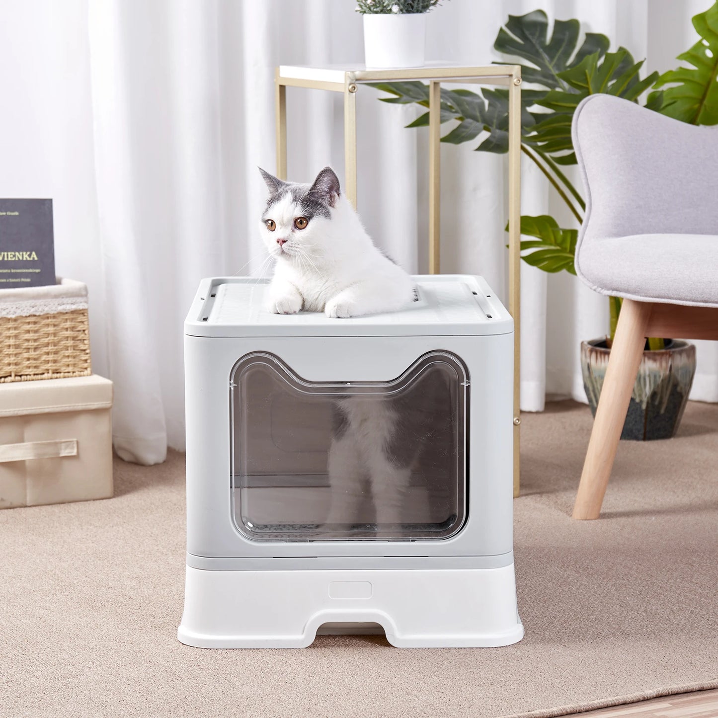 Bingopaw Cat Litter Box with Lid Enclosed Potty Large Top Entry Anti Splashing Toilet Easy to Clean with Litter Scoop