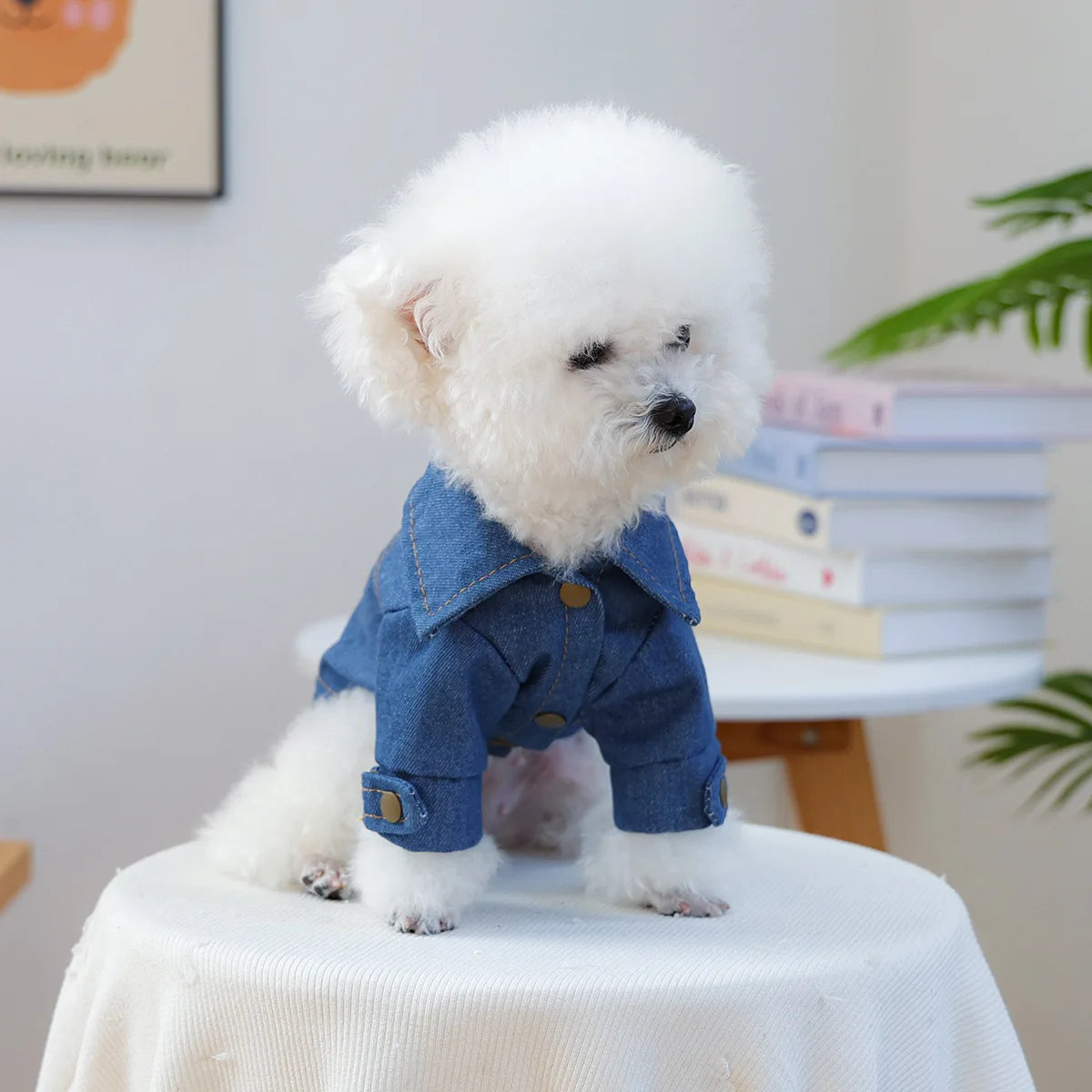 Pet Denim Vest Vintage Style Jean Jacket For Dogs Everyday