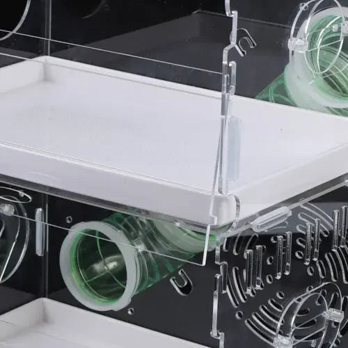 Transparent Double-Layer Small Pet House Cage for Guinea Pigs & Hamsters