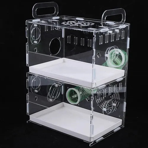 Transparent Double-Layer Small Pet House Cage for Guinea Pigs & Hamsters