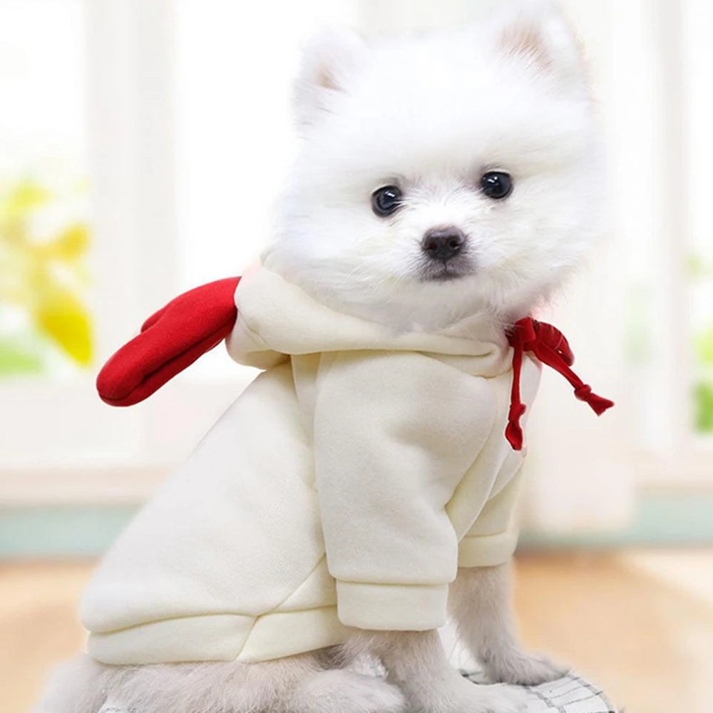 GuangdongHign Cute Fruit Dog Hoodies Fleece Coat