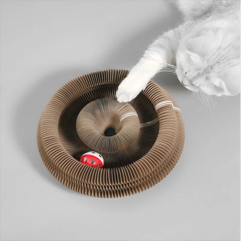 Foldable Cat Scratching Board Toy For Kittens Durable Recyclable Cardboard