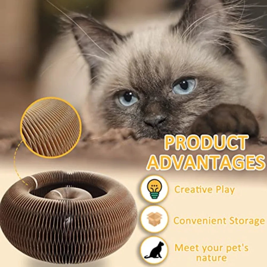 Magic Organ Cat Scratching Board And Accordion Toy Cardboard Slinky