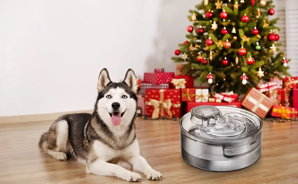 NPET DF10 Dog Water Fountain, 170oz/1.3Gallon/5L Large Automatic Pet Water Dispenser Dog Water Bowl for Cat, Dogs, Multiple Pets