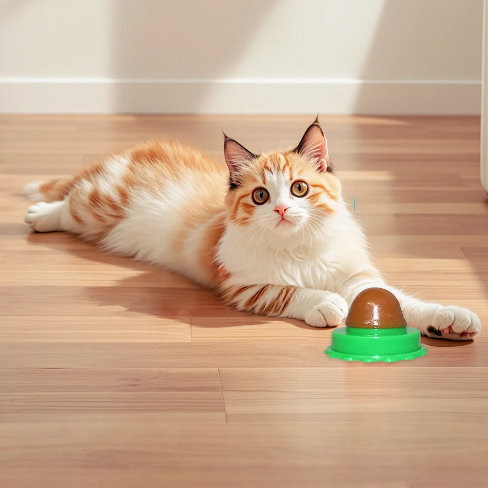 Catnip Wall Ball Lickable Treats Digestion 5 Or 10 Pieces