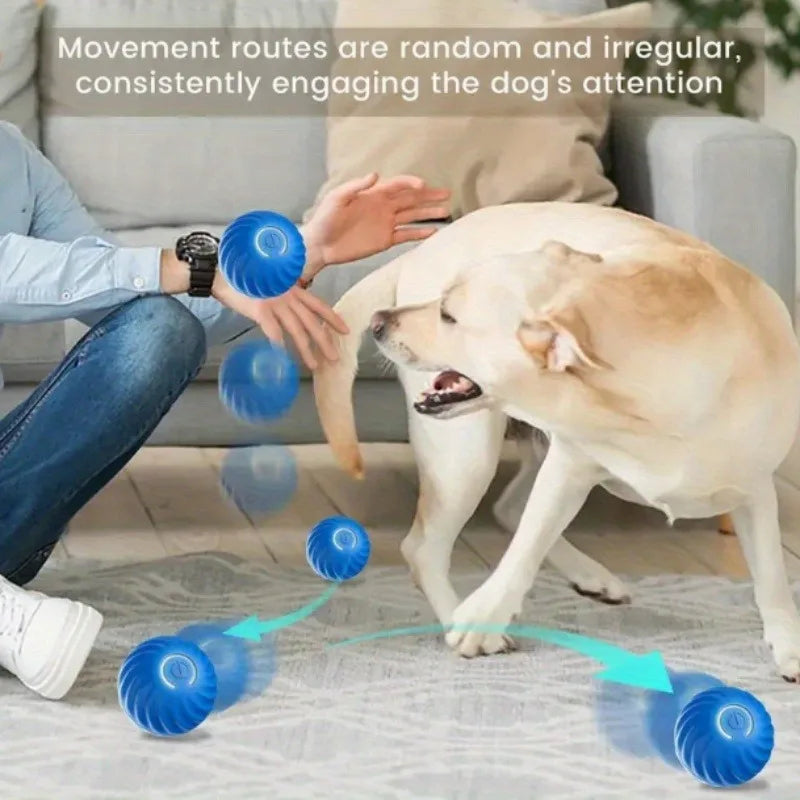 1 5 10PCS Blue Orange Pet Toy Ball Plastic Rechargeable Cat and Dog Toy for Home and Outdoors