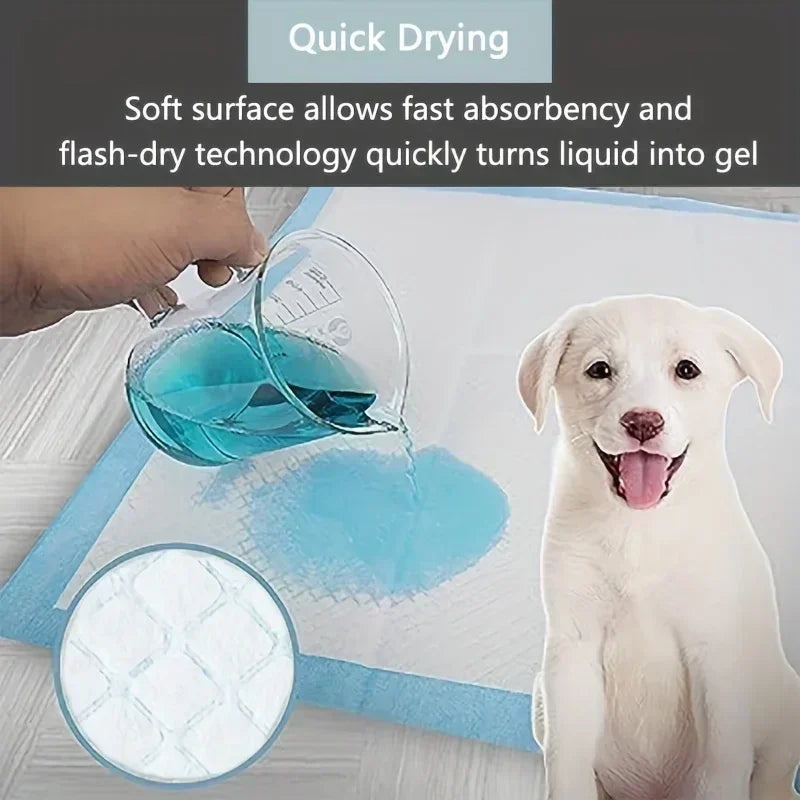 100/50/40/20PCS Absorbent Dogs Diapers Disposable Puppy Training Pee Pads Quick Dry Surface Mat Clean Cushion Dog Supplies