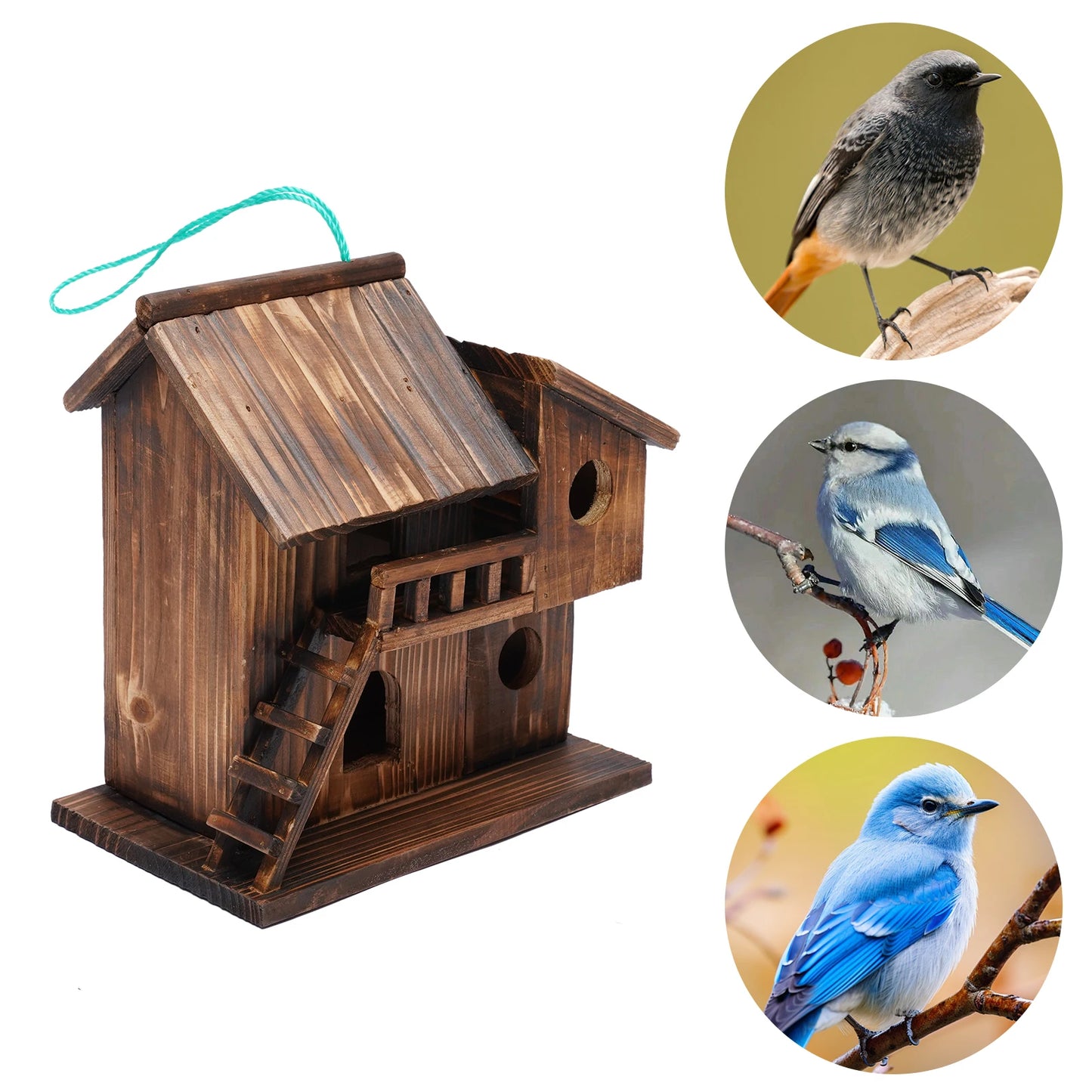 Guangdong Wooden Squirrel Nesting Box Bird Safe Nest Protector