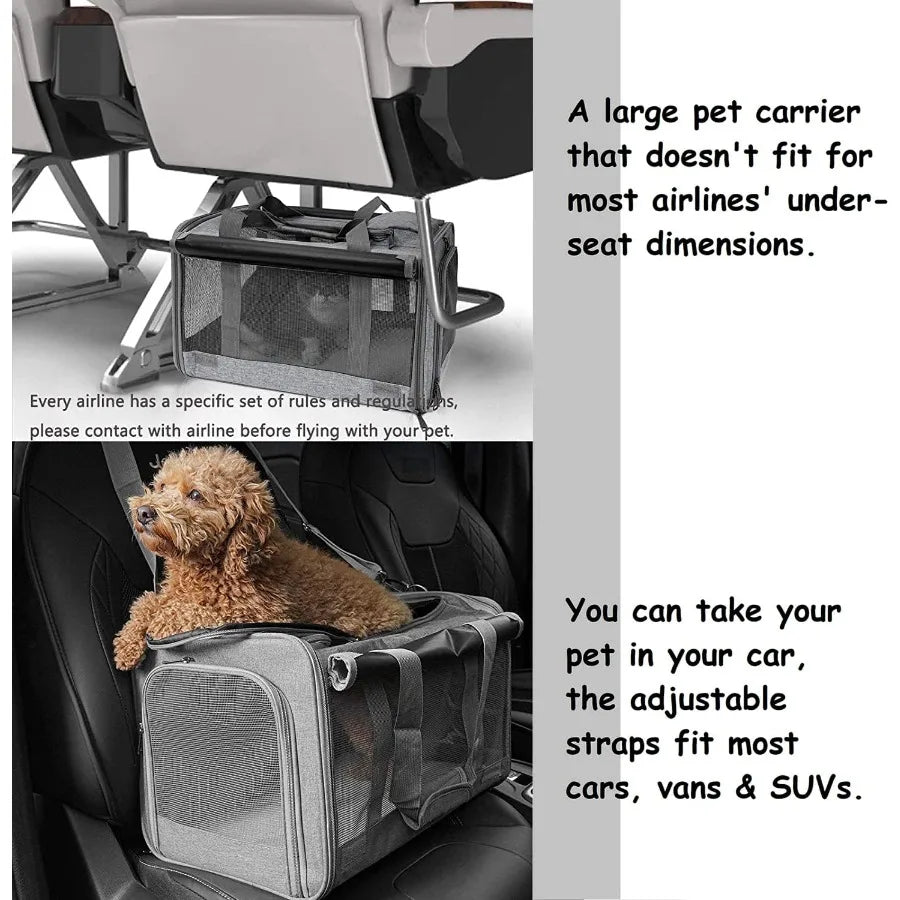 Softsided Pet Carrier For Large Cats And Small Dogs