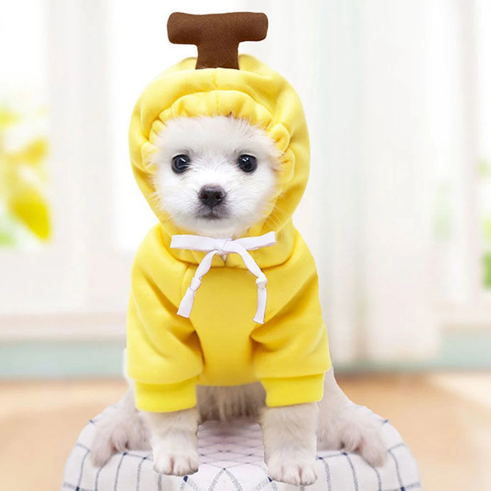 GuangdongHign Cute Fruit Dog Hoodies Fleece Coat