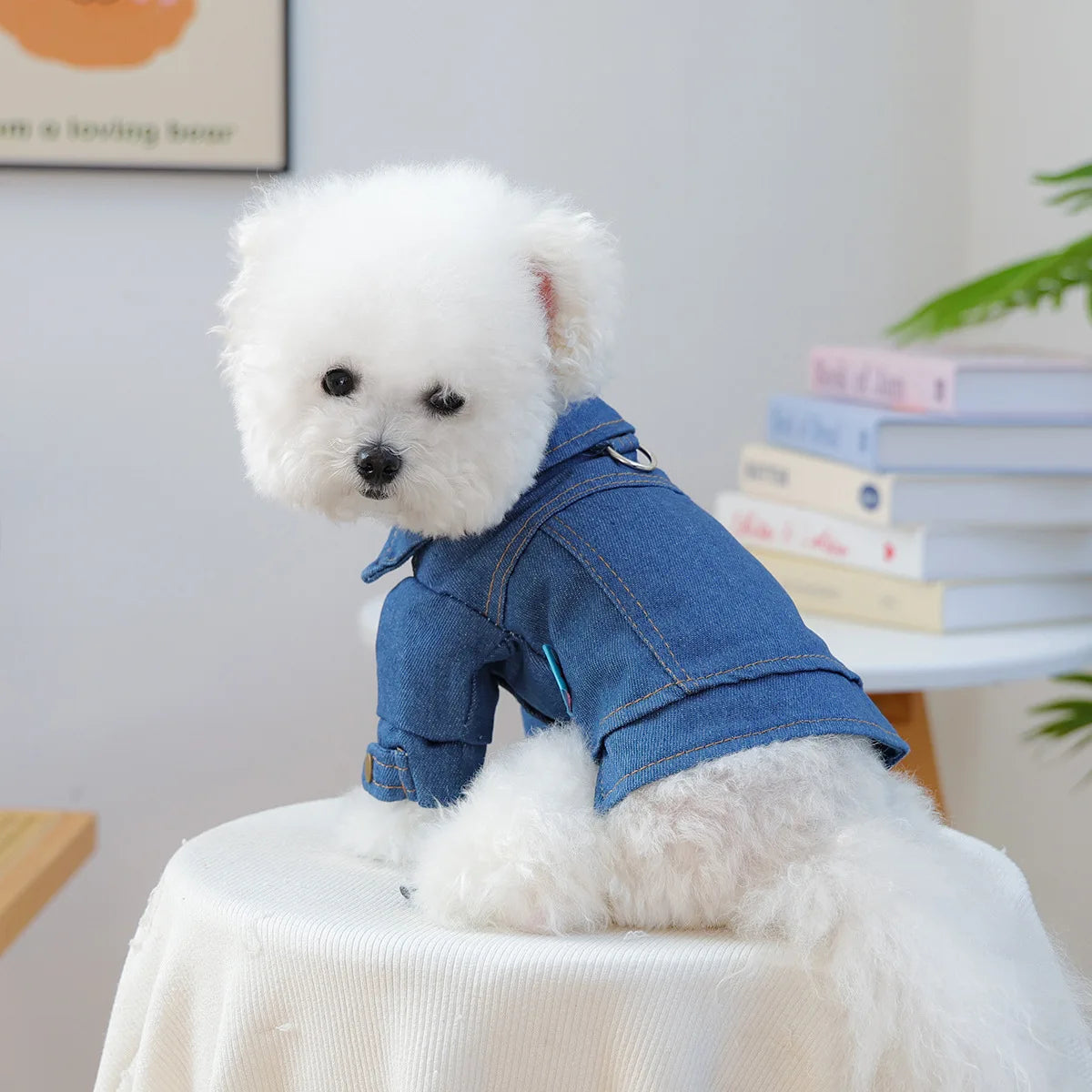 Pet Denim Vest Vintage Style Jean Jacket For Dogs Everyday