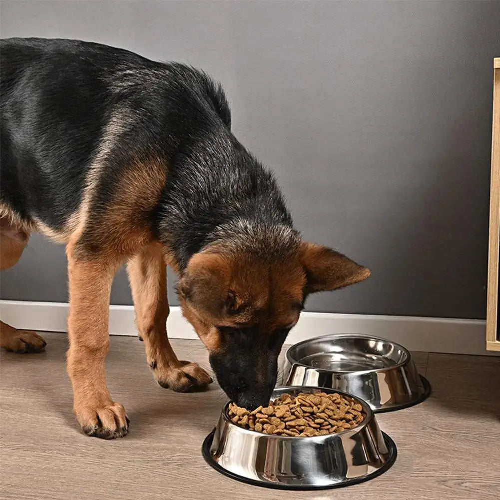 Large Capacity Cat Bowl Steel Pet Feeding Bowl Cat and Dog Food Drinking Bowl Metal Feeder Bowl and Cheap