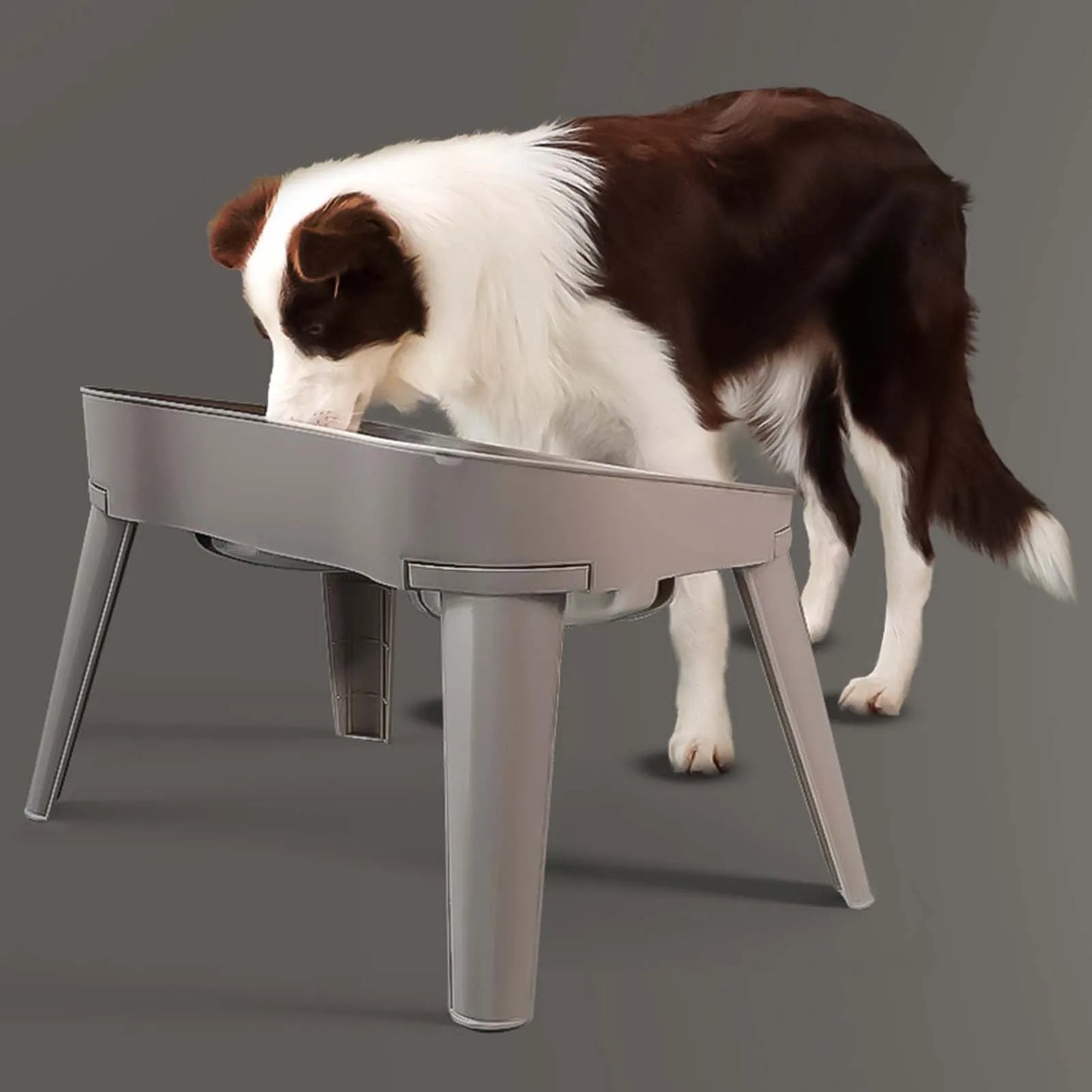Raised Stand Elevated Dog Feeder Non Slip No Spill Design Stainless Steel Bowl Pet Supplies