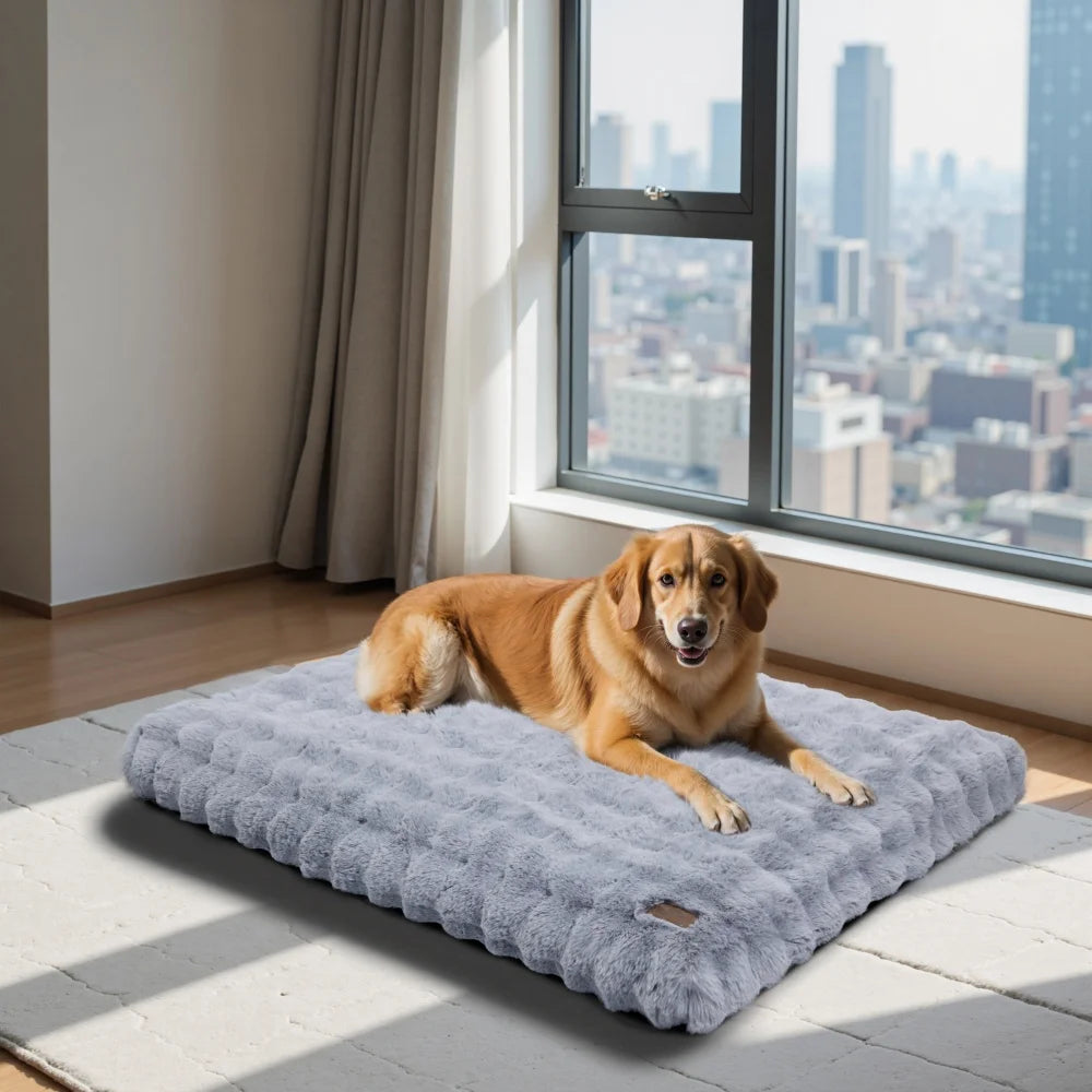 BORWARTCN Ultra Plush Dog Bed Soft Cushion Washable Mat