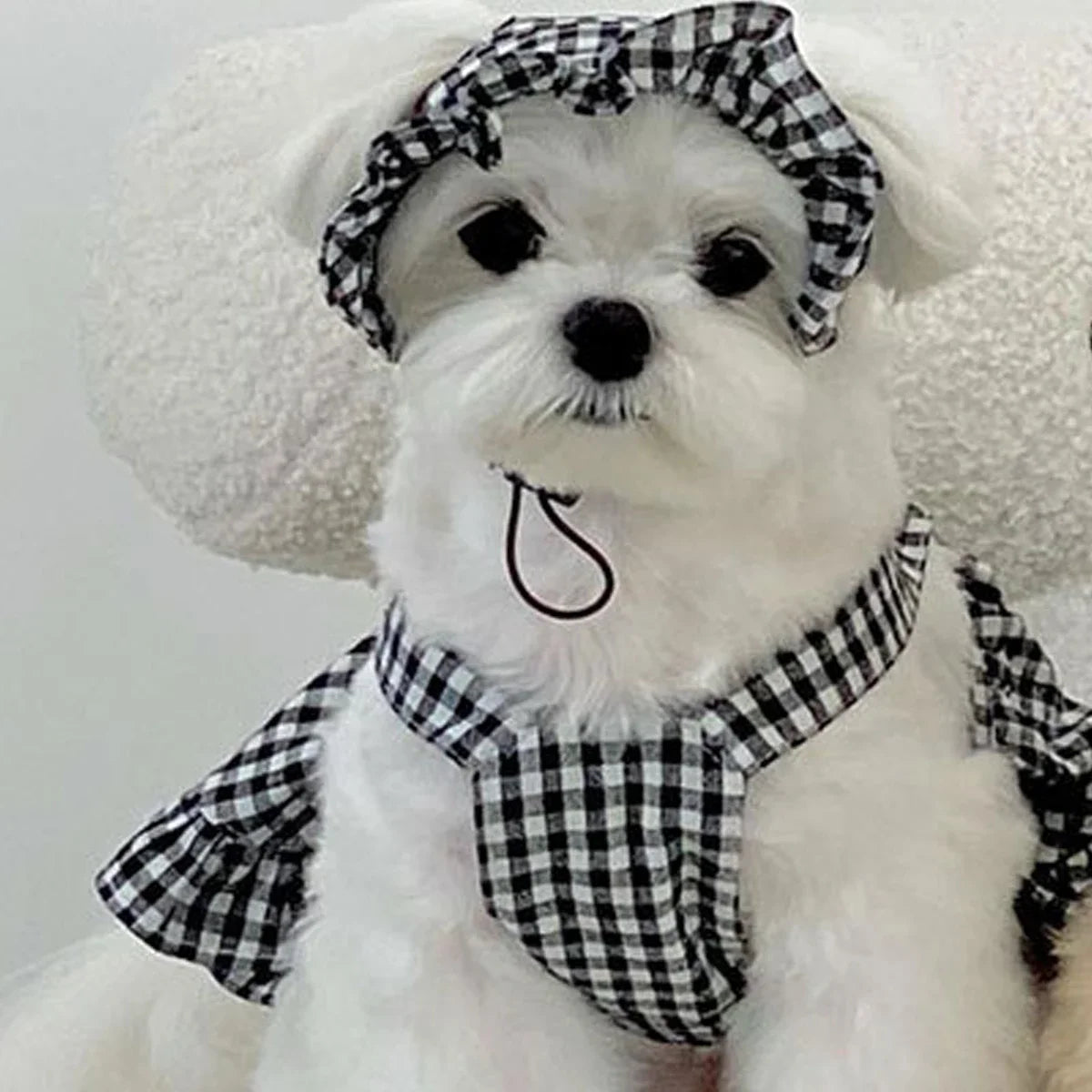 WAOPETCN Fashion Dog Clothes Plaid Skirt With Hat Set