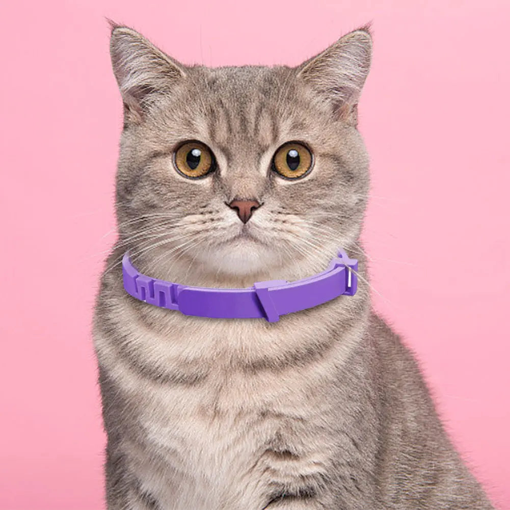 Winnereco Pet Calming Collar Stress And Anxiety Relief