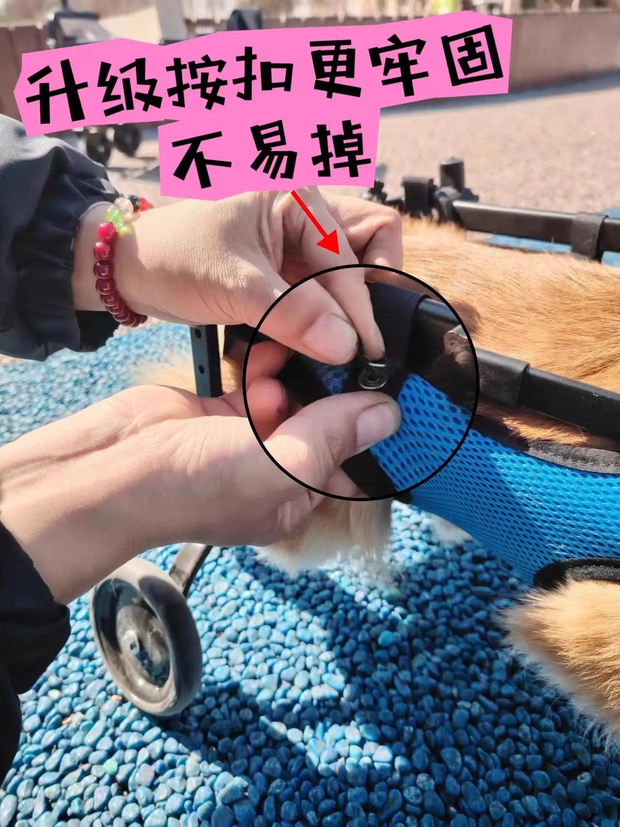Adjustable Dog Wheelchair For Hind Leg Paralysis Large