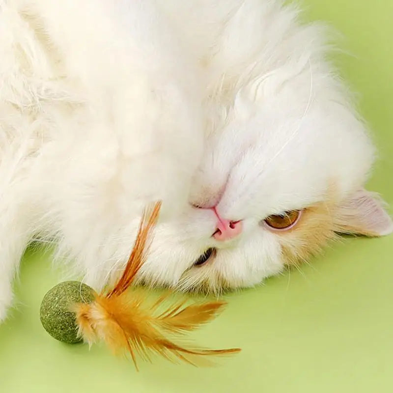 Choice Catnip Feather Balls Lickable Grass Snack Kitten Toys