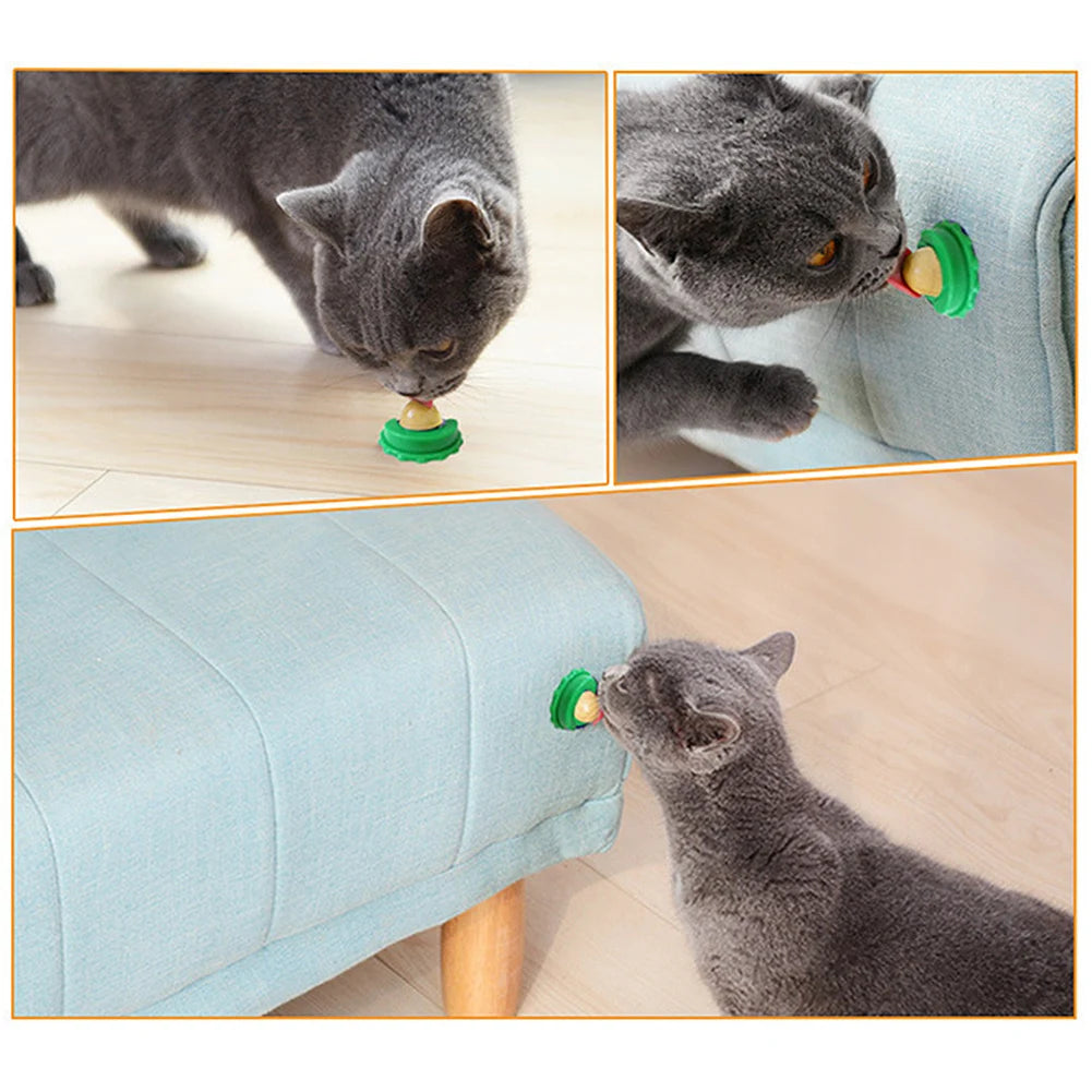 Catnip Wall Ball Lickable Treats Digestion 5 Or 10 Pieces