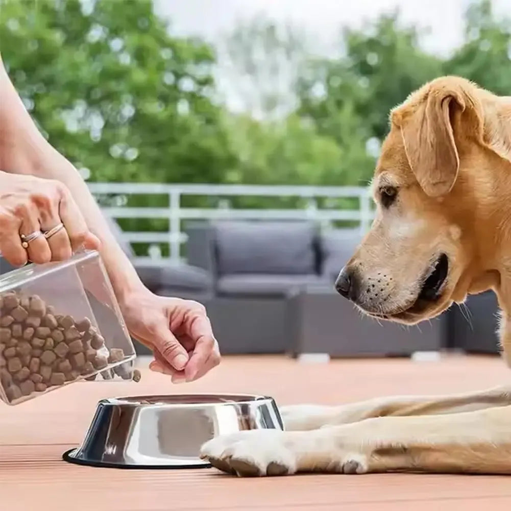 Large Capacity Cat Bowl Steel Pet Feeding Bowl Cat and Dog Food Drinking Bowl Metal Feeder Bowl and Cheap