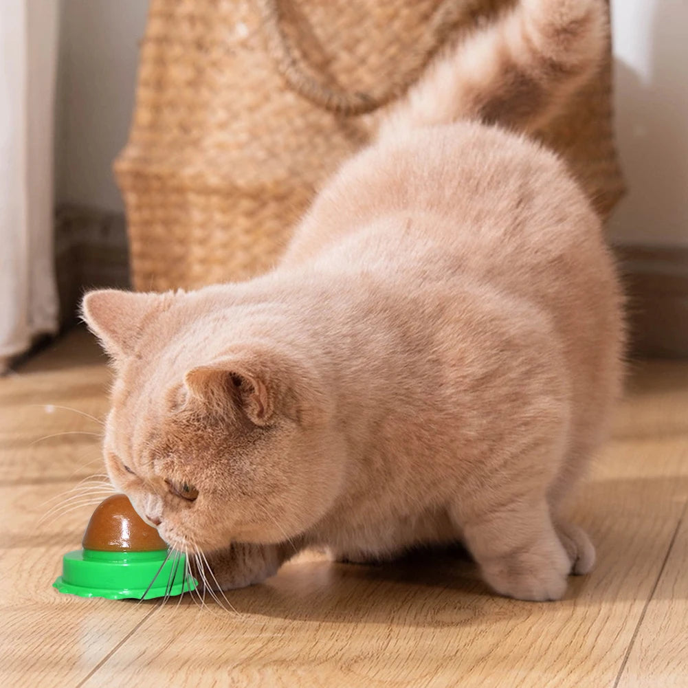 Catnip Wall Ball Lickable Treats Digestion 5 Or 10 Pieces