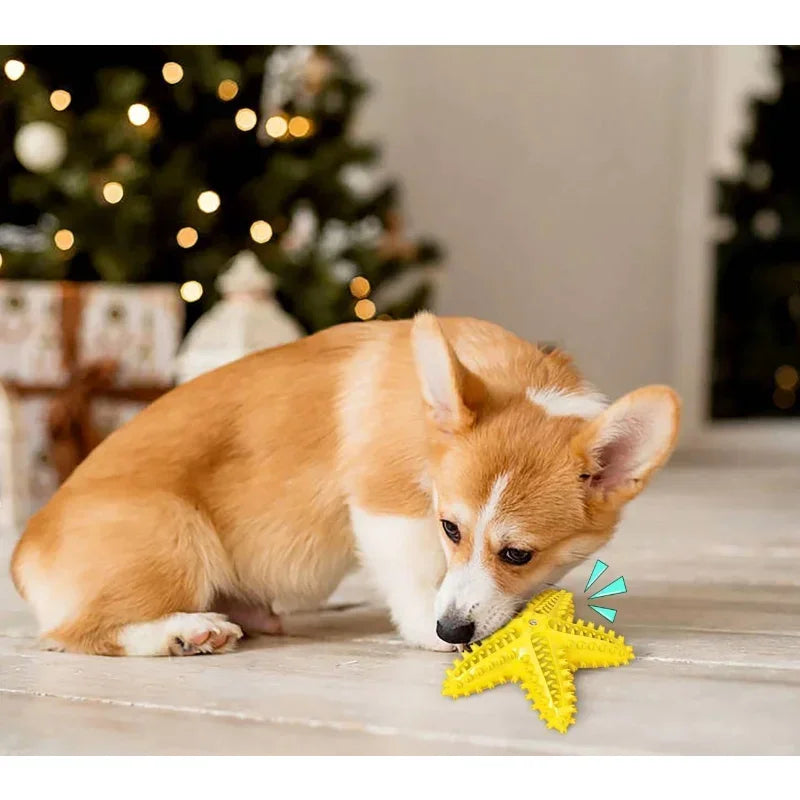 Vocal Starfish Interactive Dog Rubber Ball Dental Toy