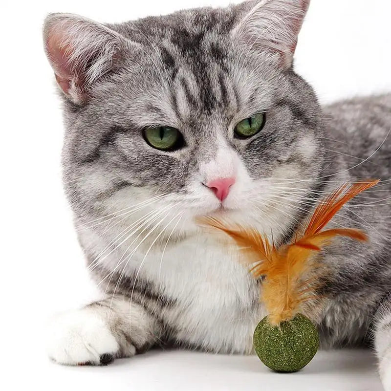 Choice Catnip Feather Balls Lickable Grass Snack Kitten Toys