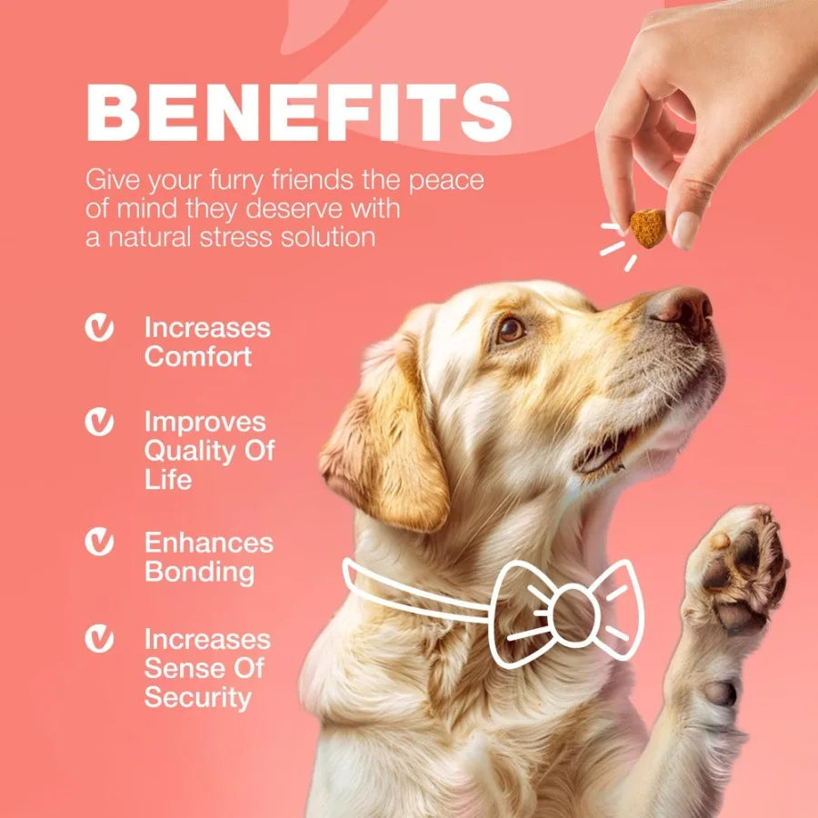 Dog Flea and Tick Treatment Chews Natural Flea Tick Prevention for Dogs Soft Treats Immune Support