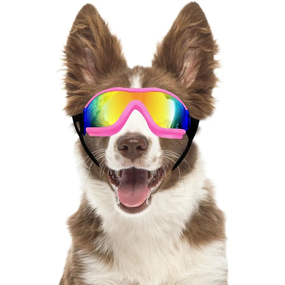 Breed Dog Goggles Anti UV Eye Protection For Dogs Outdoor